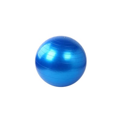 yoga Stability Balls Rudem Fitness 75CM Azul